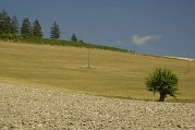 _dsc3764