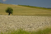 _dsc3766
