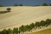 2007 Monferrato