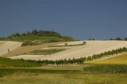 _dsc3773