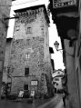 DSCN0090