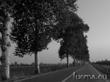 DSCN0180_BN