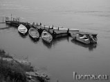 DSCN0183
