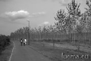 DSCN0214