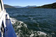_DSC4631