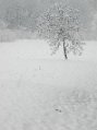_DSC0545