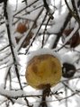 _DSC0580