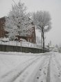 _DSC0597