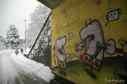 _DSC0603