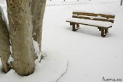 _DSC0608