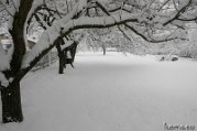 _DSC0661