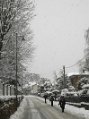 _DSC0686