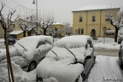 _DSC0697