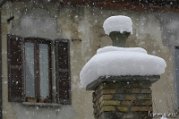 _DSC0706