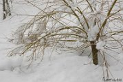 _DSC0719