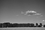 DSC_3900
