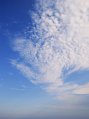 _DSC3401 Cogoleto