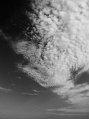 _DSC3403 Cogoleto