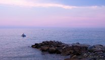 _DSC3423 Cogoleto