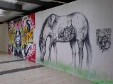 Sony Ericsson k800i_DSC00267