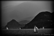 _DSC6590_BW Villa Pallavicino