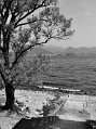 _DSC6633 Villa Pallavicino