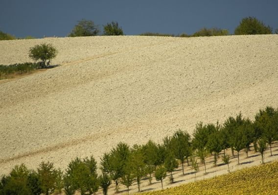 2007 Monferrato