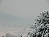 Dscn4590