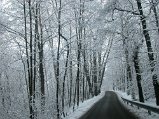 Dscn4594