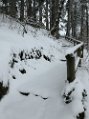 Dscn4628