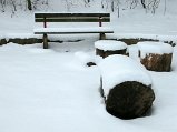 Dscn4646
