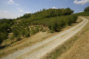 _dsc3704