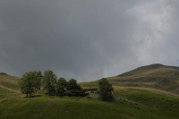 _DSC5325