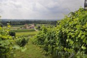 _DSC0055