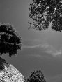 DSC_1634