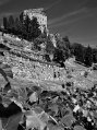 DSC_1657