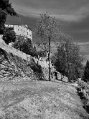 DSC_1678