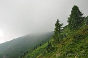 DSC_8923