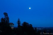 _DSC2972