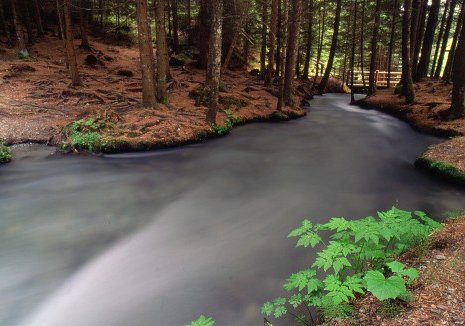 Dia - Acqua