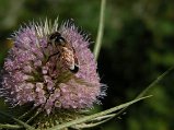 Dscn1747