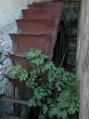 Dscn1757