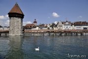 _DSC0342