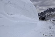 _DSC0515