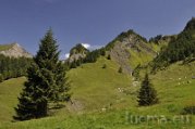 _DSC0160