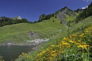 _DSC0169