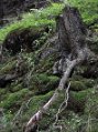 _DSC0255