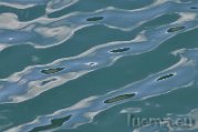 _DSC0263
