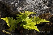 _DSC0269