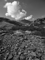 DSC_3207_BN